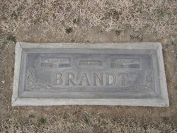 Louis Kenneth Brandt 