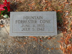 Fountain Forrester Cone 