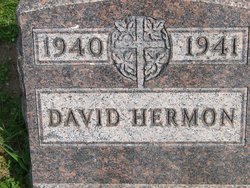 David Hermon 