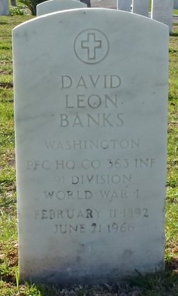 David L Banks 