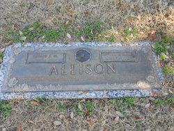 Dianne M <I>Blood</I> Allison 