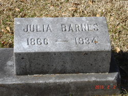 Julia Barnes 
