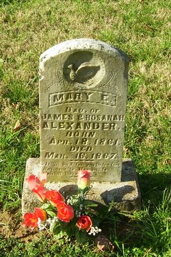 Mary E. Alexander 