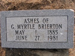 Golden Myrtle Brierton 