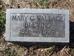 Mary Cordelia <I>Wallace</I> Blevins 