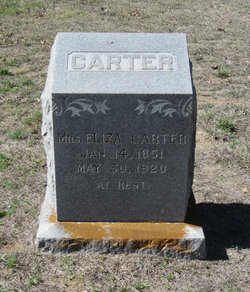 Mrs Eliza Carter 
