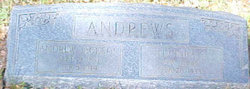 Andrew Jackson Andrews Sr.