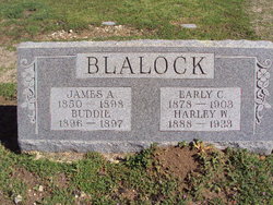 James A Blalock 