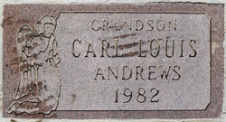 Carl Louis Andrews 