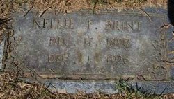 Nellie Free <I>Martin</I> Brint 