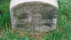 Reeder Fish 