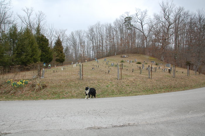 Swindling Gap Cemetery Northeast