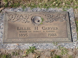 Lillie Hannah <I>Colson</I> Carver 