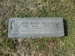 Billy Bandy 