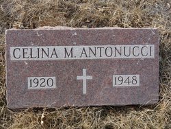 Celina M Antonucci 
