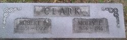 Mary E. “Mollie” <I>Clift</I> Clark 