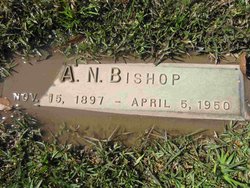A. N. Bishop 