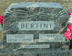 Andy Bertini 