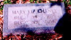 Mary Elizabeth <I>Chaney Abney</I> McIntosh 