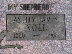 Ashley James Noll Sr.