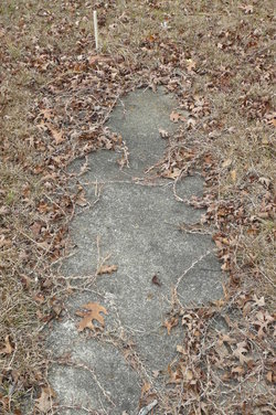 Unmarked Adult Grave Unknown 