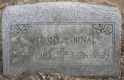 Antony Fornal 