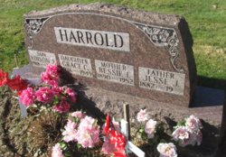 Jesse James Harrold 