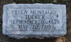 Helen <I>Montague</I> Tucker 