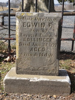 Edwin F. Bollinger 
