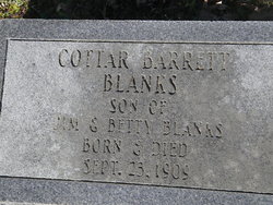 Cottar Barrett Blanks 