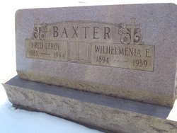 Wilhelmenia E <I>Irons</I> Baxter 
