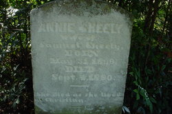 Anna “Annie” <I>Fulmer</I> Sheely 