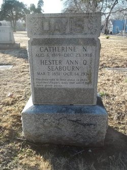 Hester Antionette Ann Queentina <I>Seabourn</I> Davis 