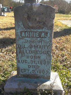Annie A. Alldredge 