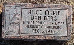Alice Marie Dahlberg 