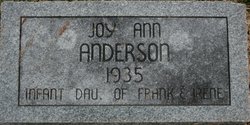 Joy Ann Anderson 