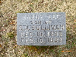 Harry Lee Sullivan 