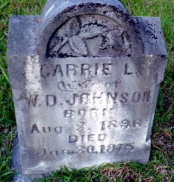 Carrie L <I>Burnham</I> Johnson 