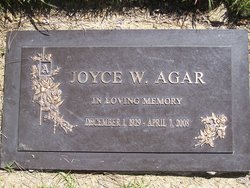 Joyce Wanita Agar 