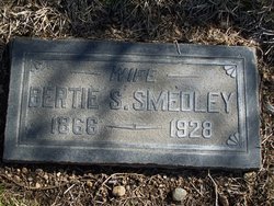 Bertie S. Smedley 