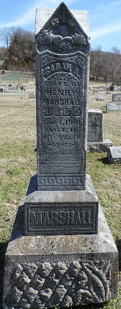 Sarah A. Marshall 