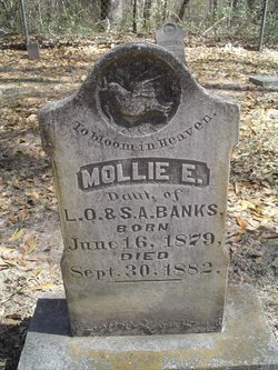 Mollie E. Banks 