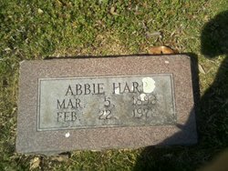 Abbie Harp 