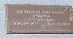 Anthony Jackson Barnes 