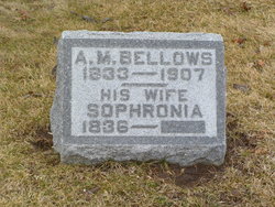 Sophronia <I>King</I> Bellows 
