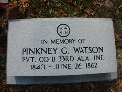 Pinkney G Watson 