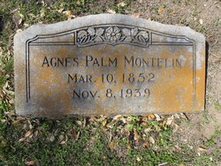 Agnes <I>Palm</I> Montelin 