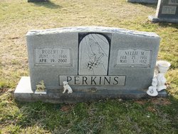 Robert Phelps Perkins 