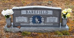 Floyd Don Barefield 