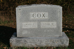 David M. Cox 